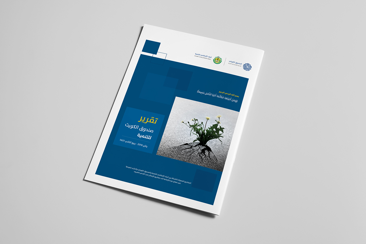 Entry 143234 in Islamic Development Bank Brochure by Haweya company