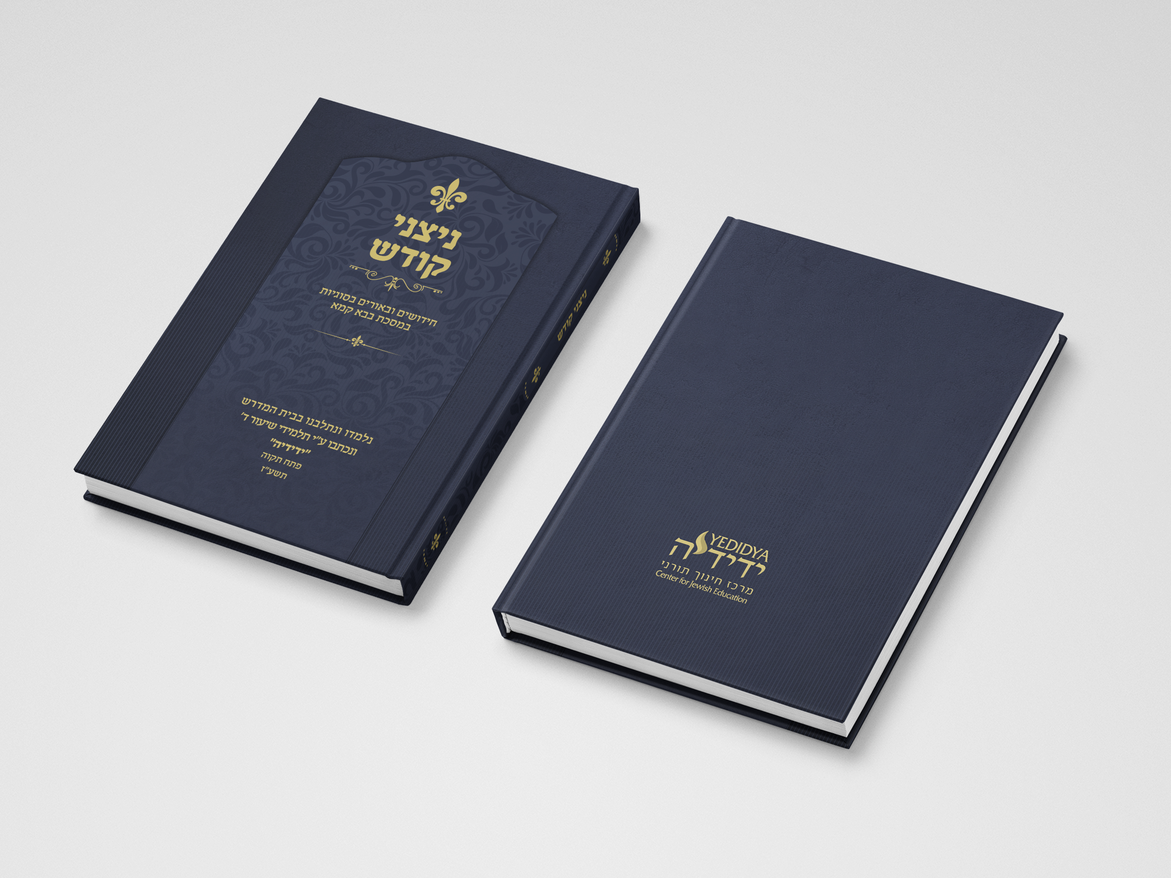 Entry 142005 in Portfolio by BOOMerang