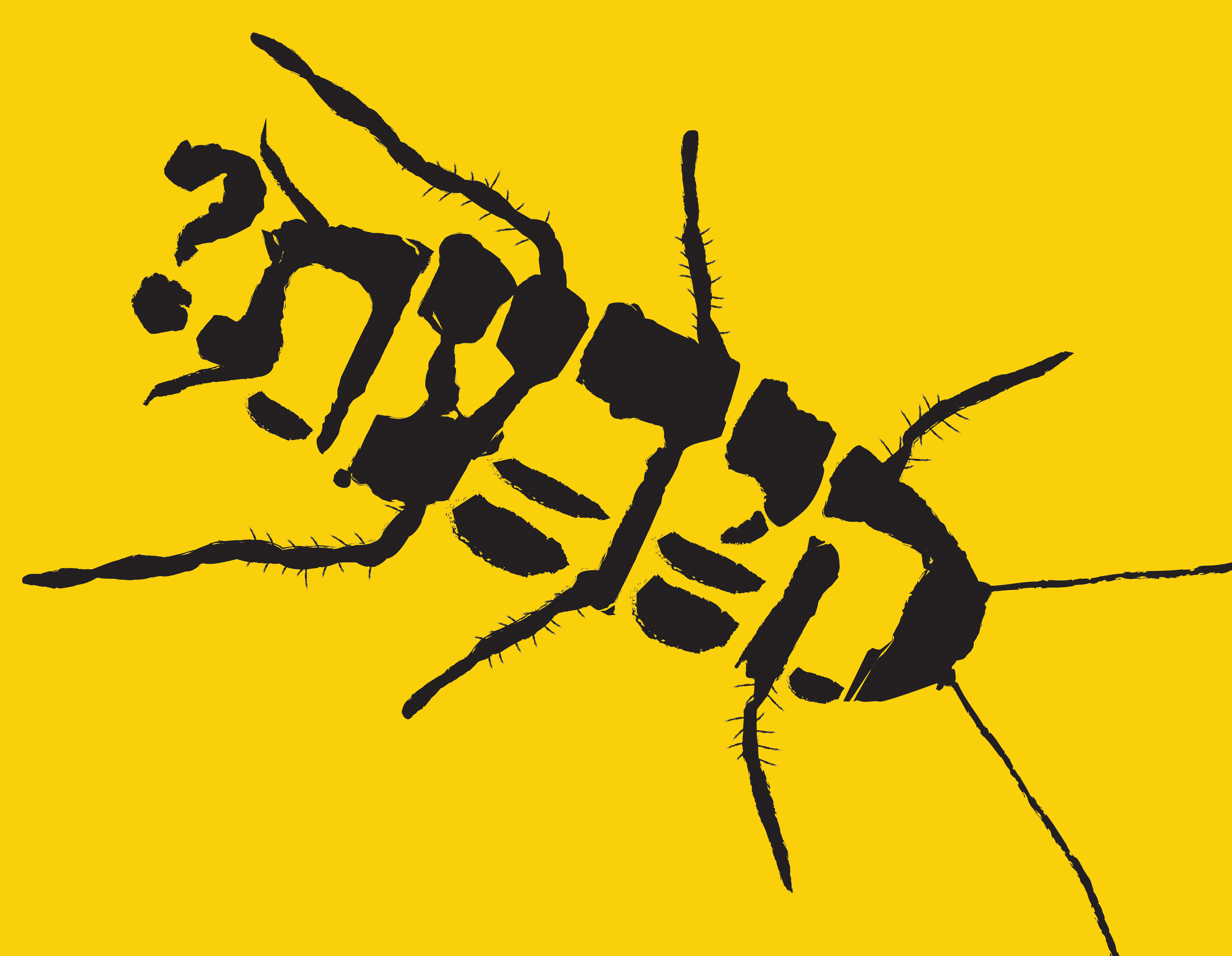 Entry 236792 in איור by רותמיקה - סטודיו לעיצוב גרפי ואיור