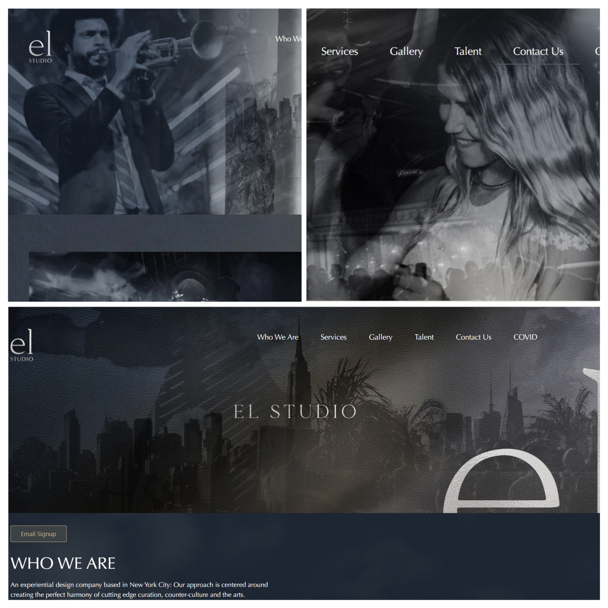Entry 254062 in Portfolio by Ecommerce, CMS and Digital Projects Consultancy