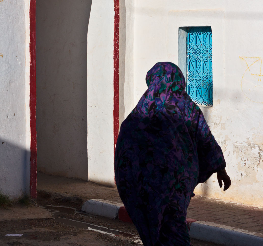 Entry 212660 in Fouta: The hijab from Zarzis by Alexandre Ammar