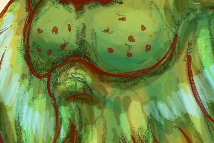Open Zoomed Related Entry spiritcat.jpg