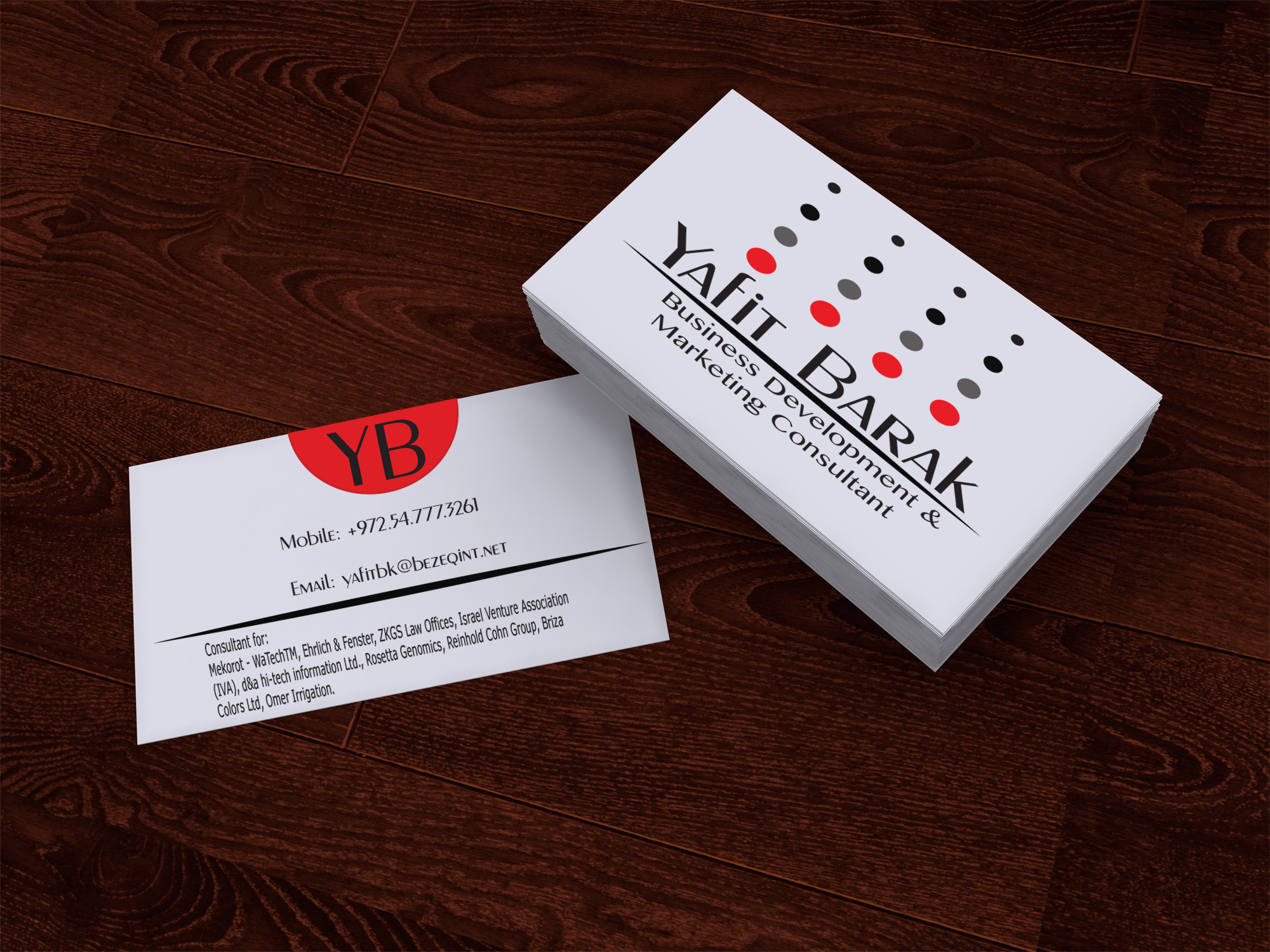 Entry 82263 in Portfolio by Lina Shapira Design