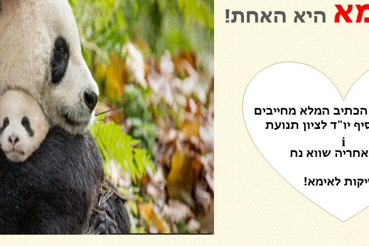 Open Zoomed Related Entry אימא יש רק אחת.jpg