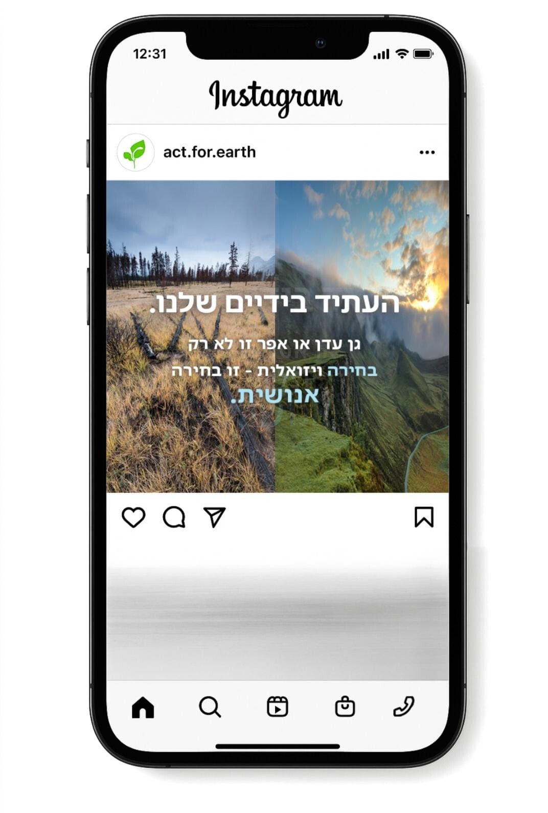 Entry 332696 in Portfolio by Reut Bleicher Design
