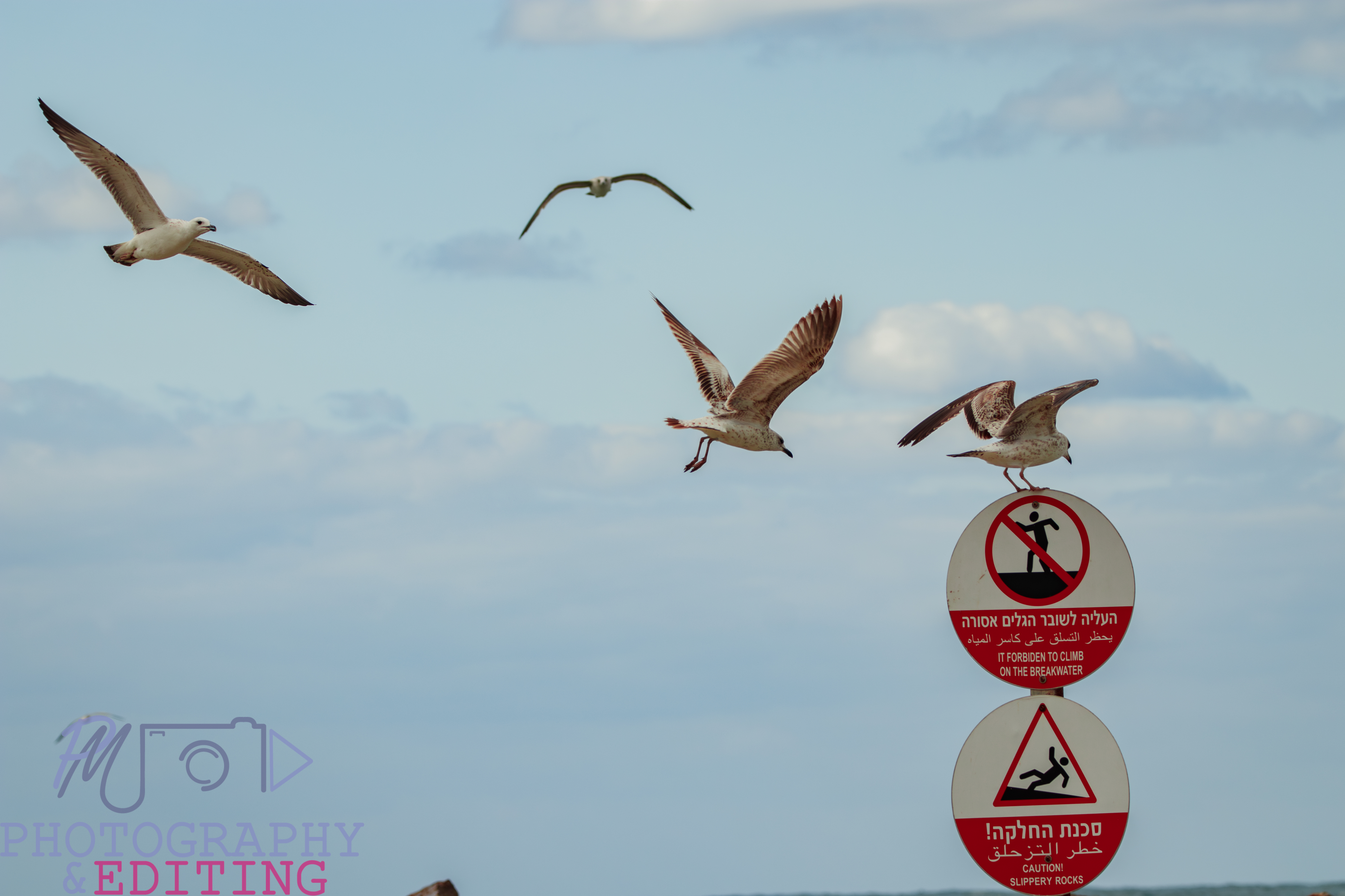 Entry 330119 in Portfolio by pmphotoNeditinh