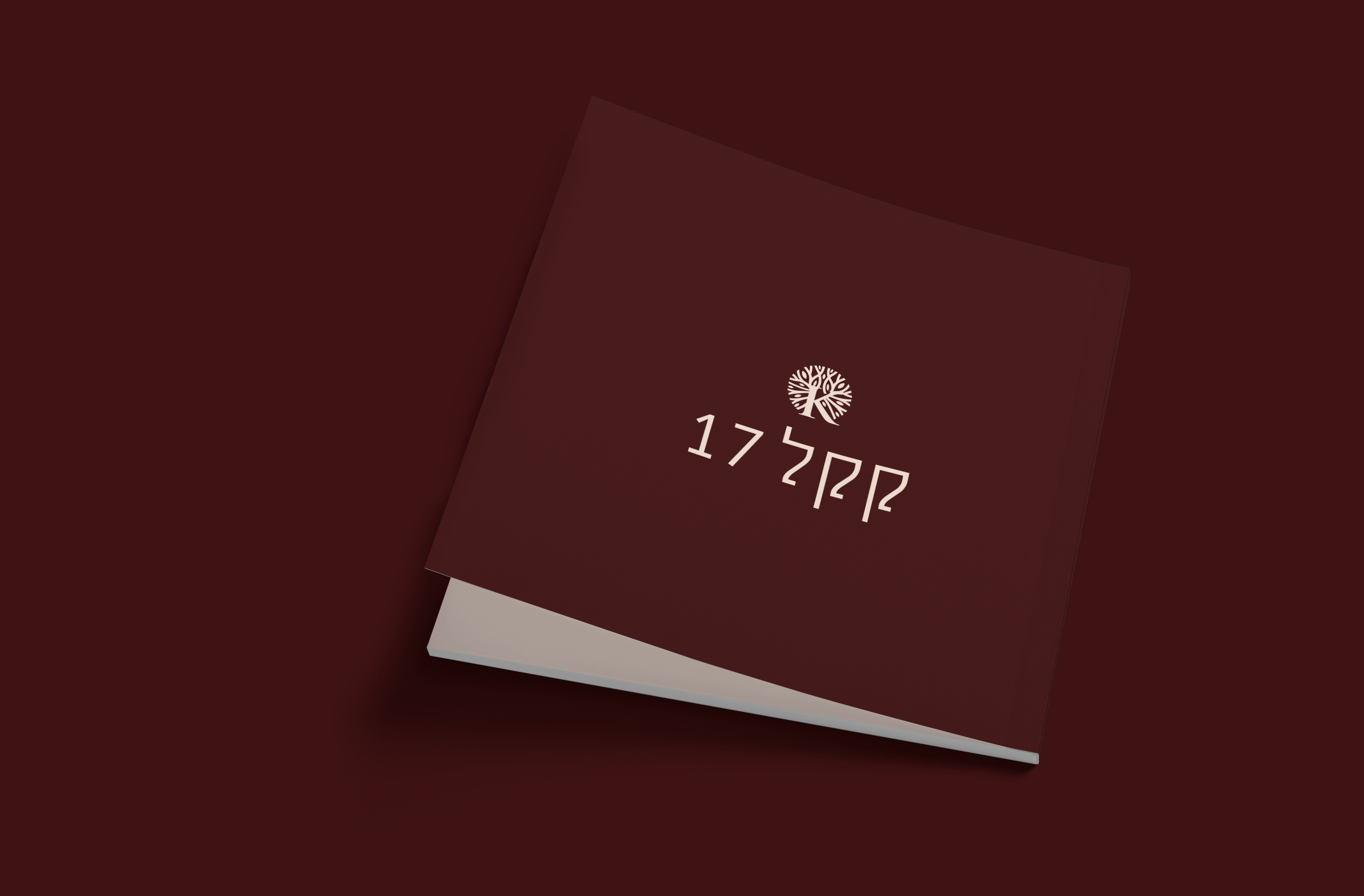 Entry 336571 in Portfolio by סטודיו SENSA