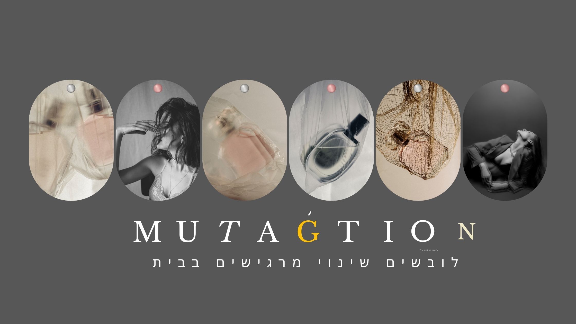 Entry 326927 in באנרים by BrandifyHQ
