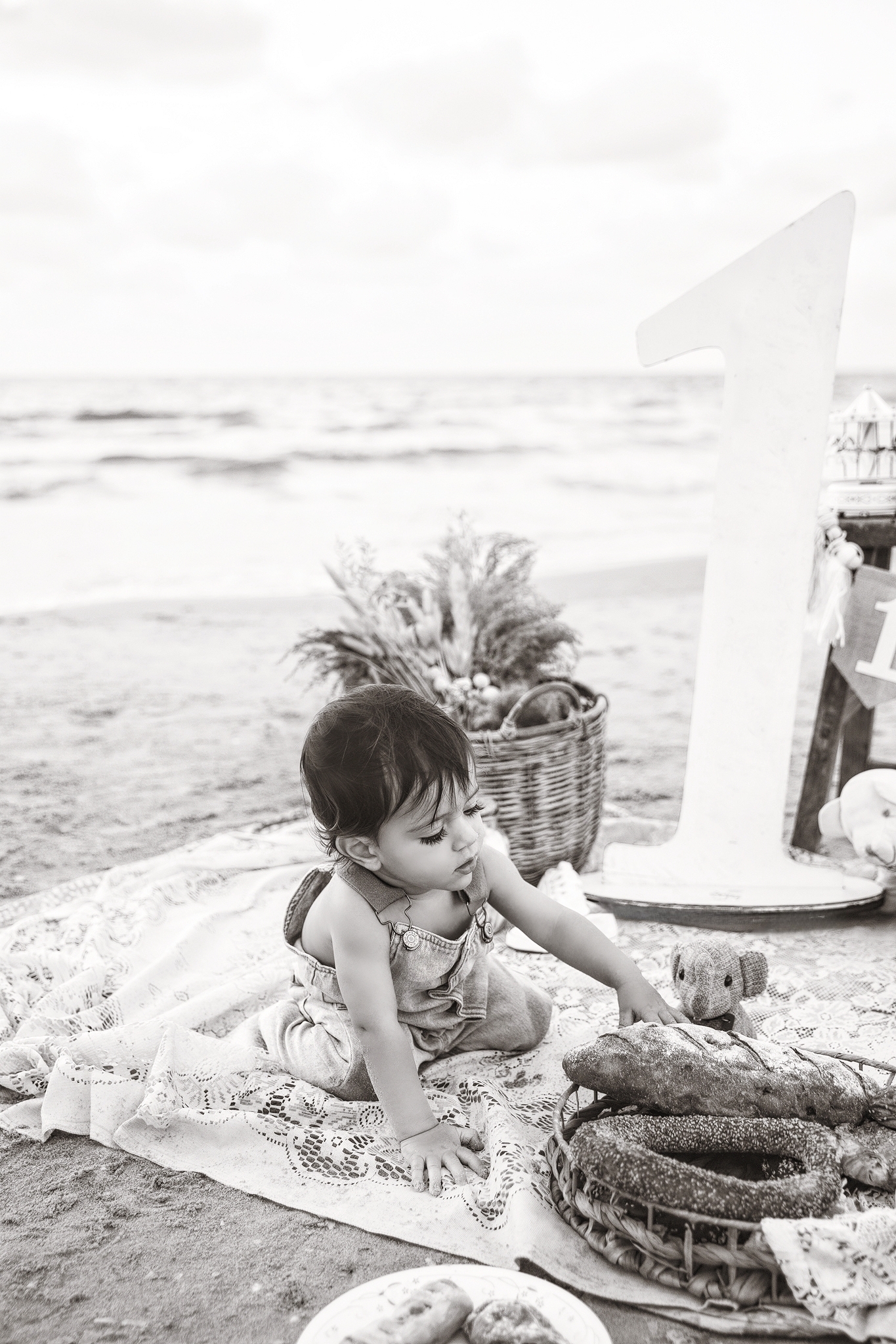 Entry 329439 in Portfolio by Nachal Photography