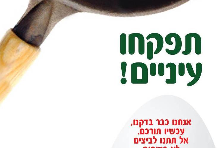 Open Entry 293035 in Portfolio by צביקה זינגר פרסום, קריאייטיב, קופירייטינג ותוכן