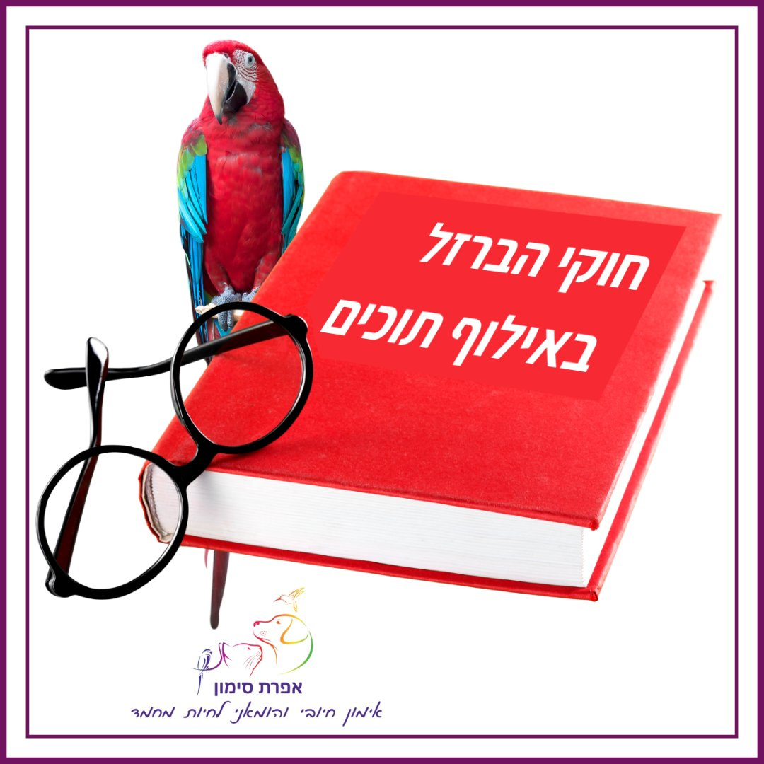 Entry 283104 in אפרת סימון- עיצוב לסושיאל by מירב טל CREATION