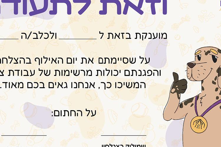 XPlace פרילנסרים | עבודה מהבית לפרילנסר ועבודות פרילנס לפרילנסרים