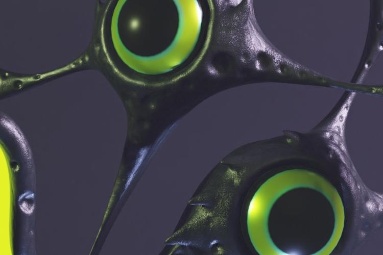 Open Entry 323581 in 3D  MODELING by Tytu Design