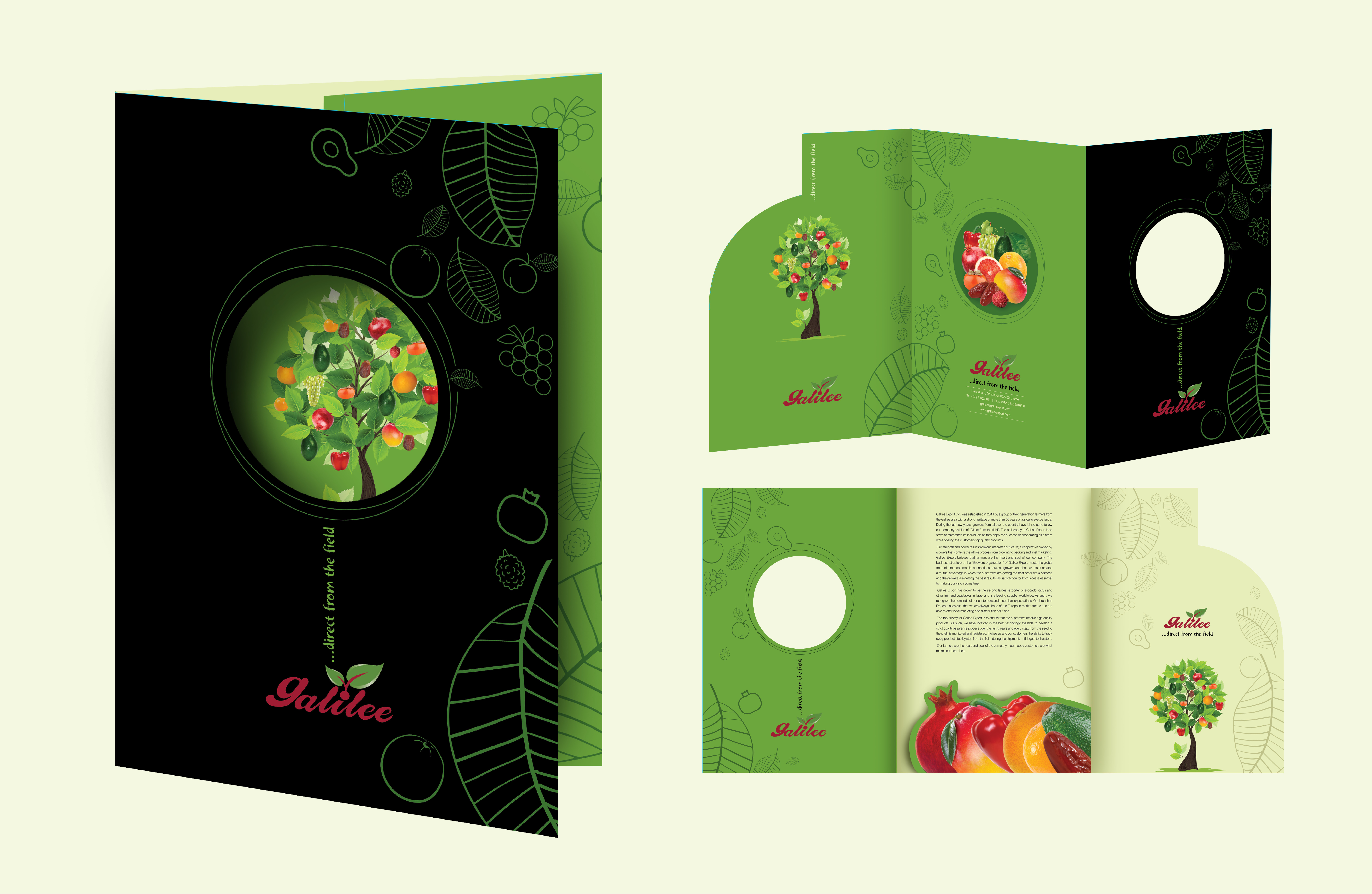 Entry 303048 in Folders & info sheets by N&N Studio