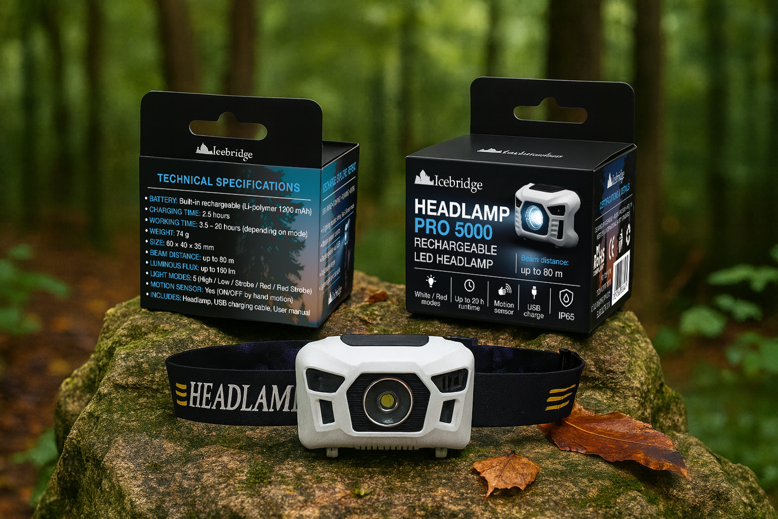 Entry 342517 in Portfolio by Design For All