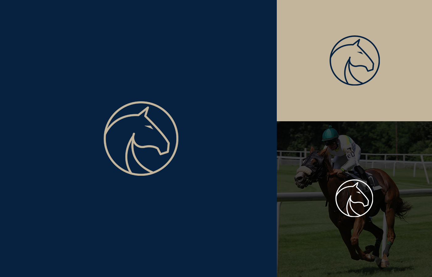 Entry 270178 in Portfolio by Logo Fusion