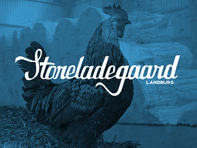 Entry 99492 in Storeladegaard Logo by Graphic Boost