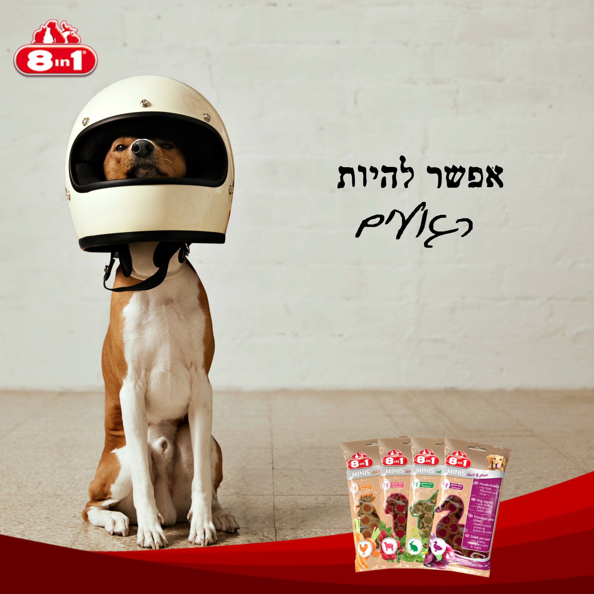 Entry 254732 in בעלי חיים :) by Orit Slama