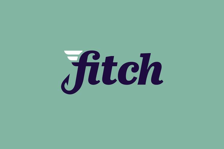 Open Zoomed Related Entry 58c98827f9fa162116905a27_fitch-p-800x800.png