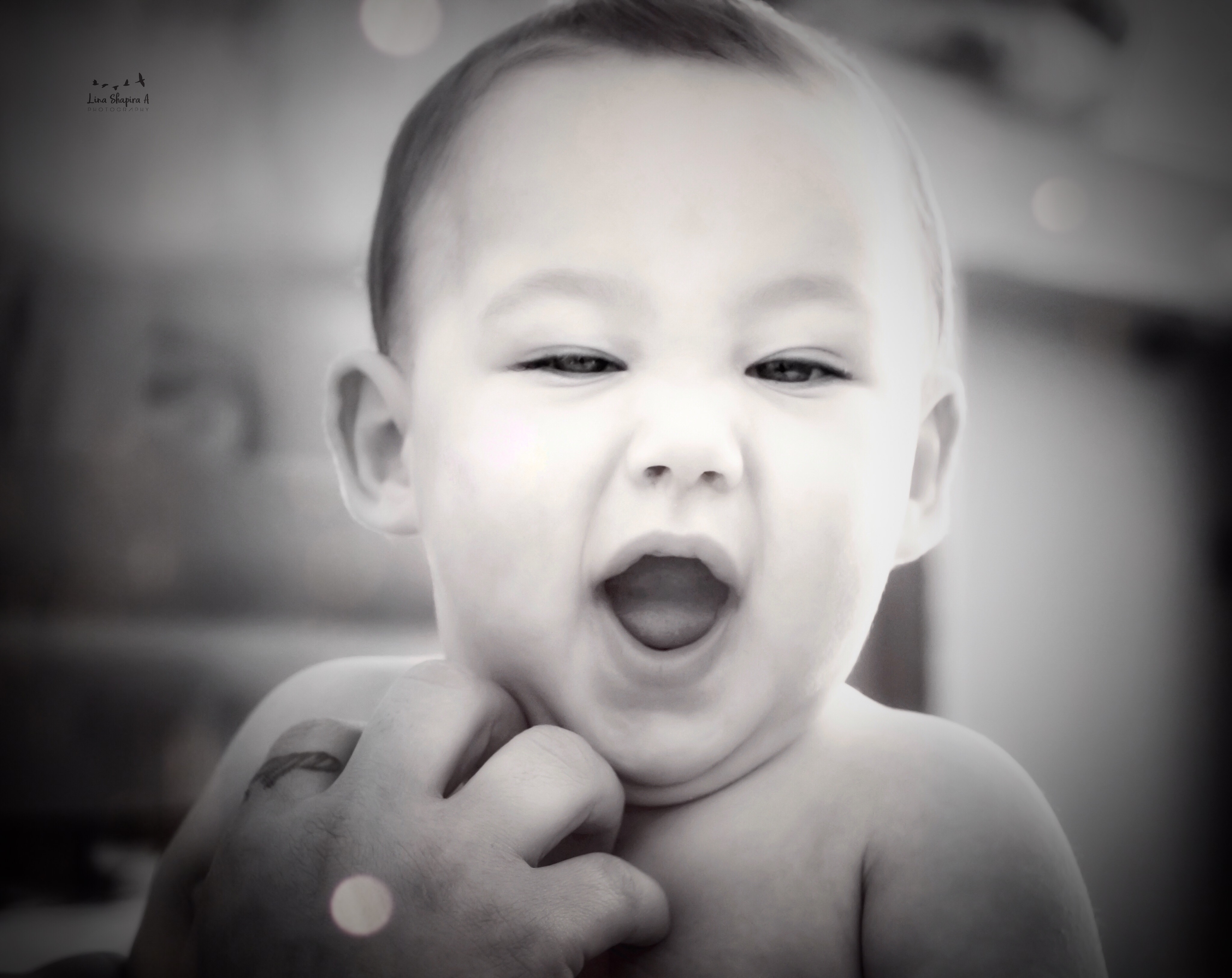 Entry 154010 in Portfolio by Lina Shapira A photography