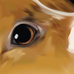 Open Zoomed Related Entry Crazy Dog