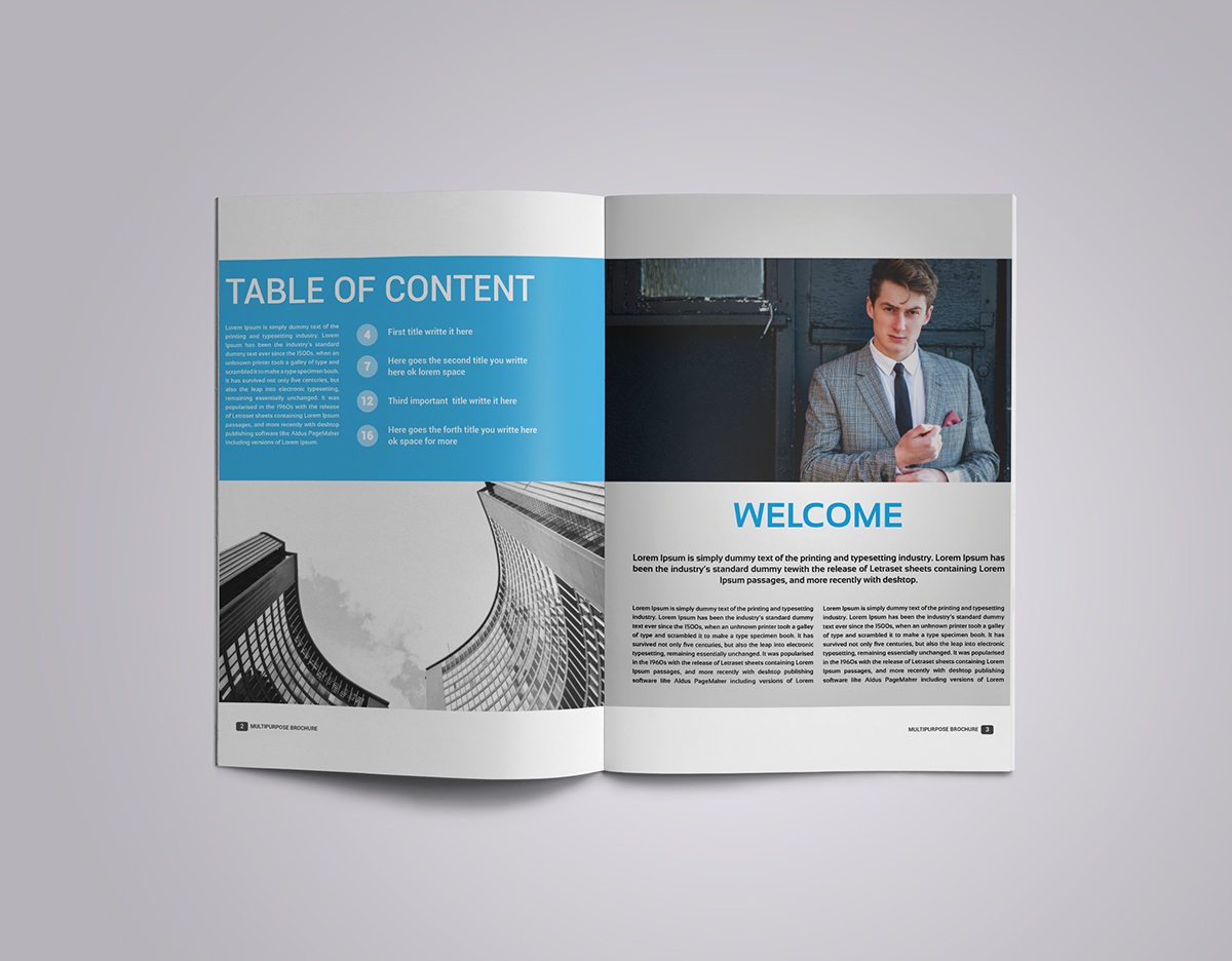 Entry 143260 in Multipurpose Brochure 2016 by Haweya company
