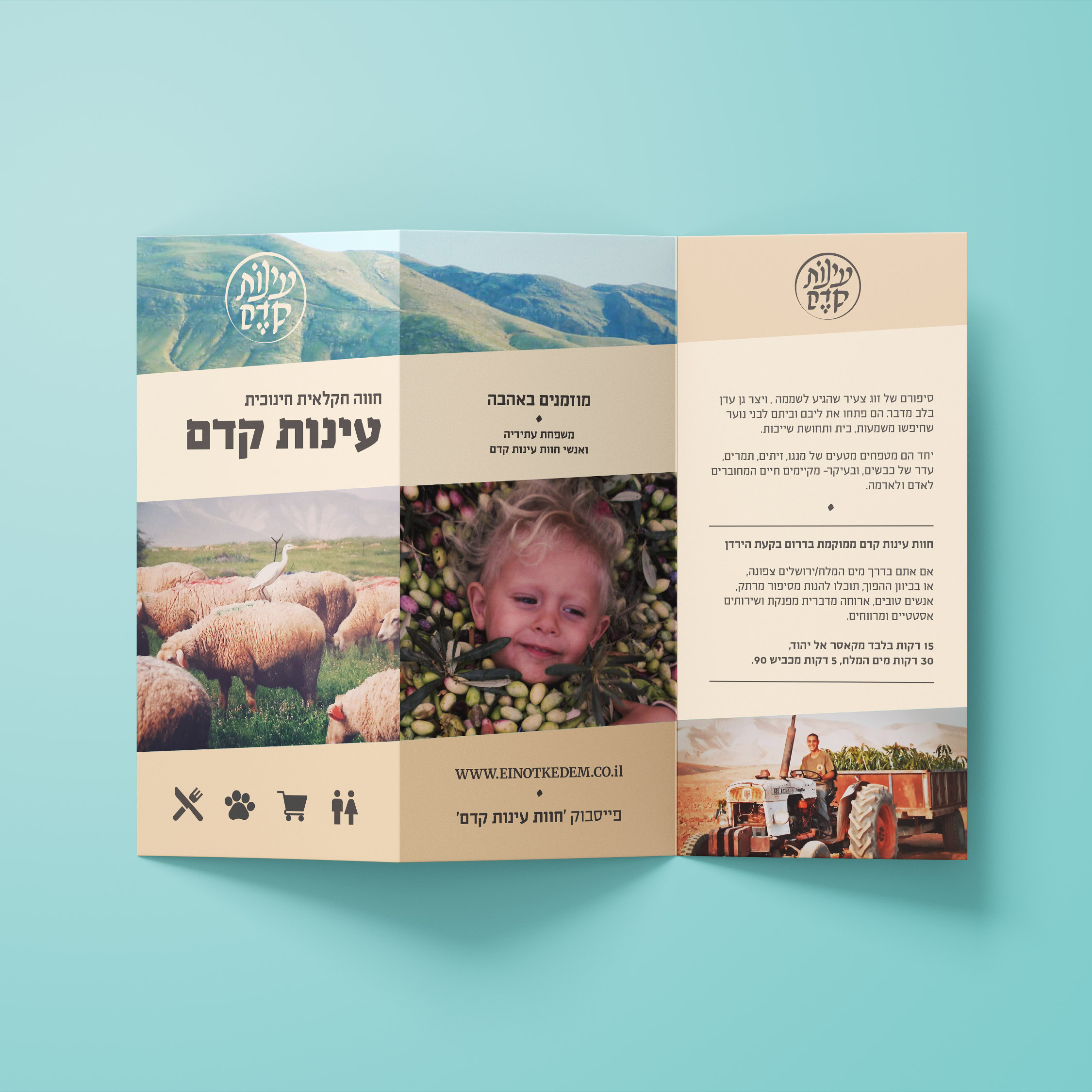 Entry 239277 in מיתוג מאוייר - עינות קדם by לאה בר רשי