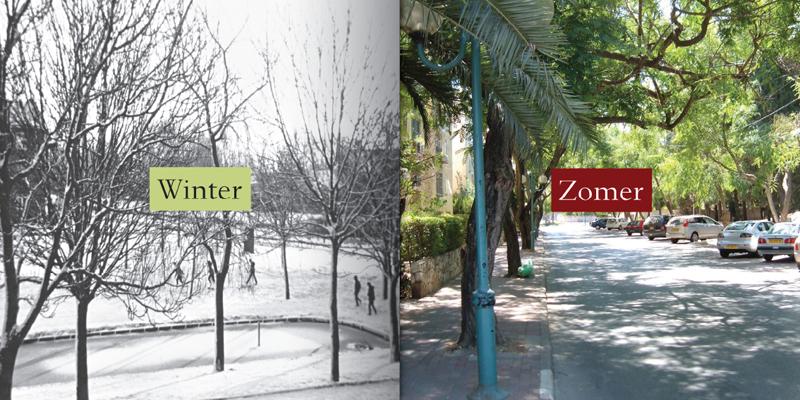 Entry 19029 in Portfolio by André Hilz Graphic Design