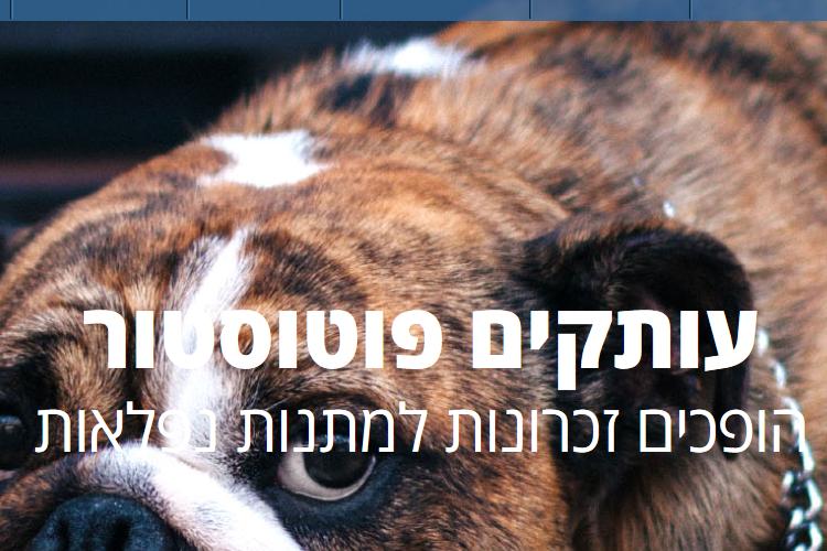 Open Zoomed Related Entry otakim website.png