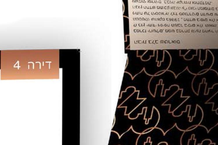 Open Zoomed Related Entry לב שטראוס לוגו ומיתוג.jpg