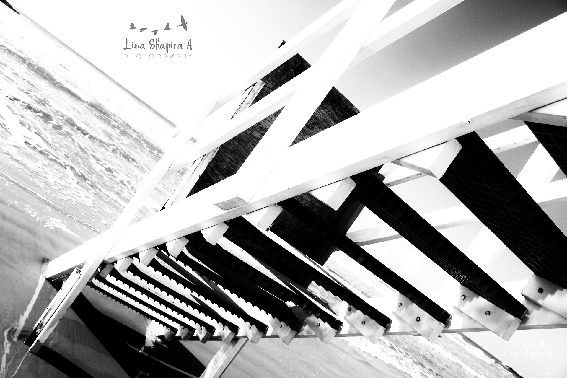 Entry 154024 in Portfolio by Lina Shapira A photography