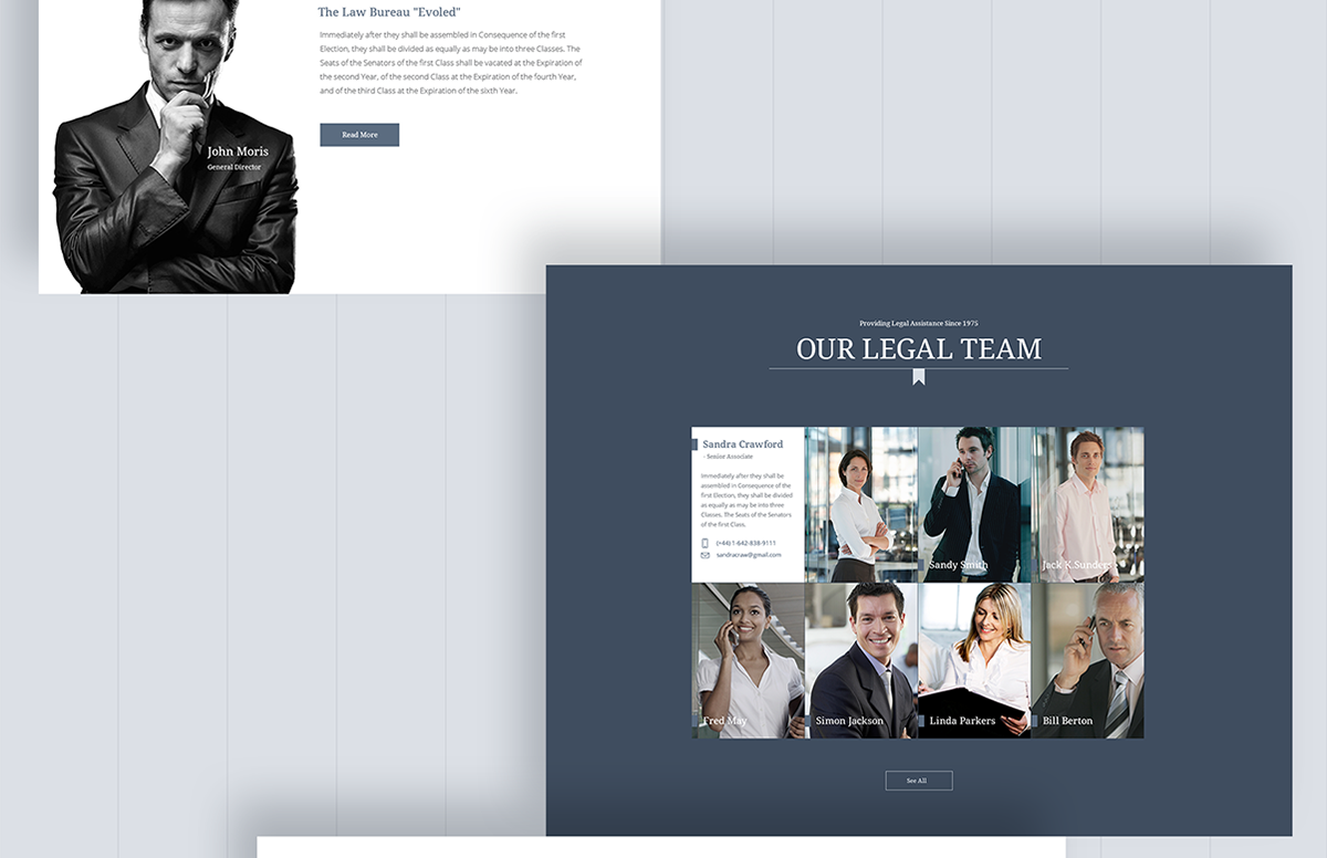 Entry 118700 in Legal Advice Office Website Design by Mobilunity by Mobilunity