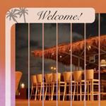 Open Entry 22893 in Portfolio by Alexia Aflalo - Graphic Design & Illustration Services