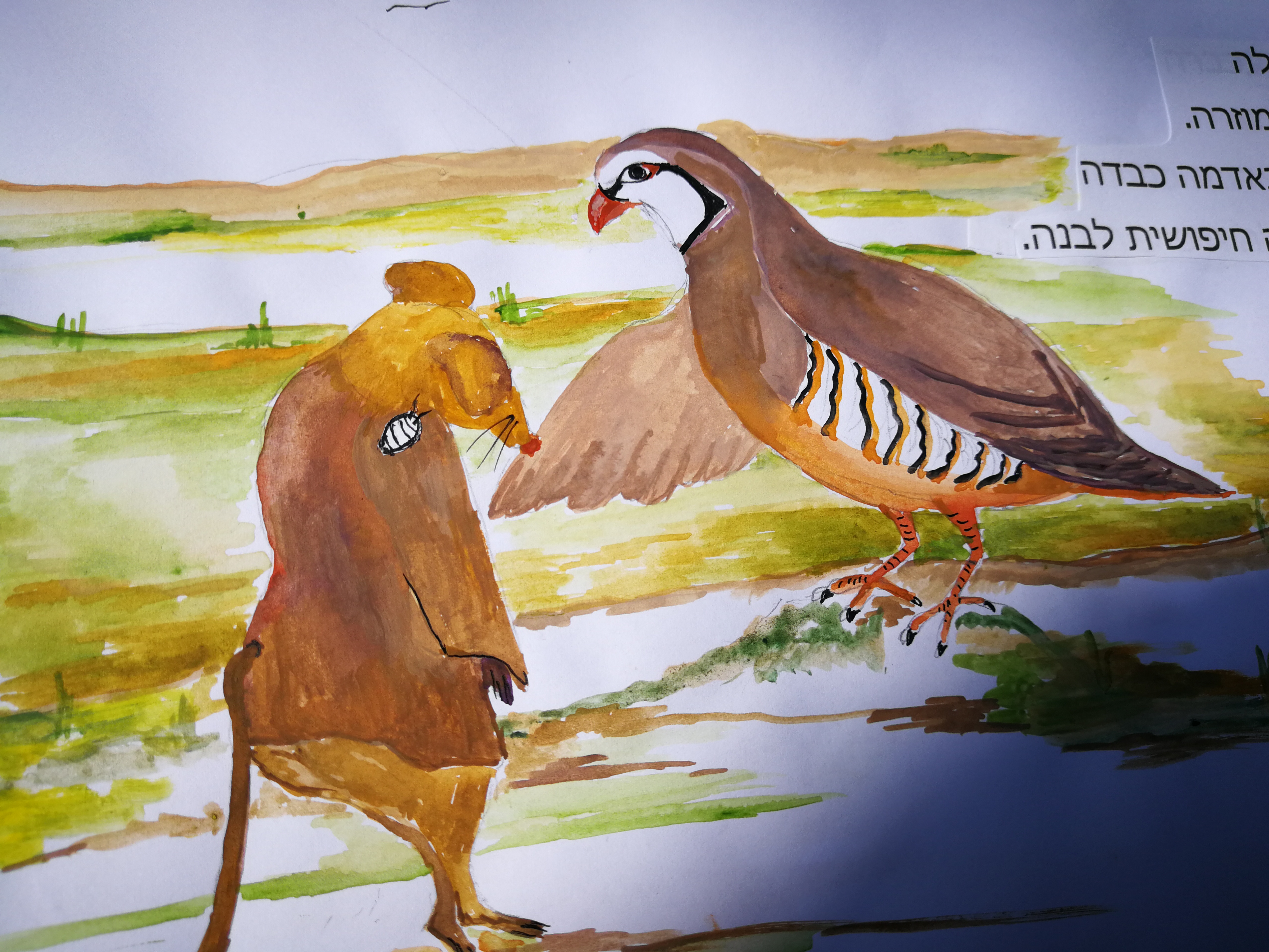 Entry 159562 in Portfolio by איור וכתיבה