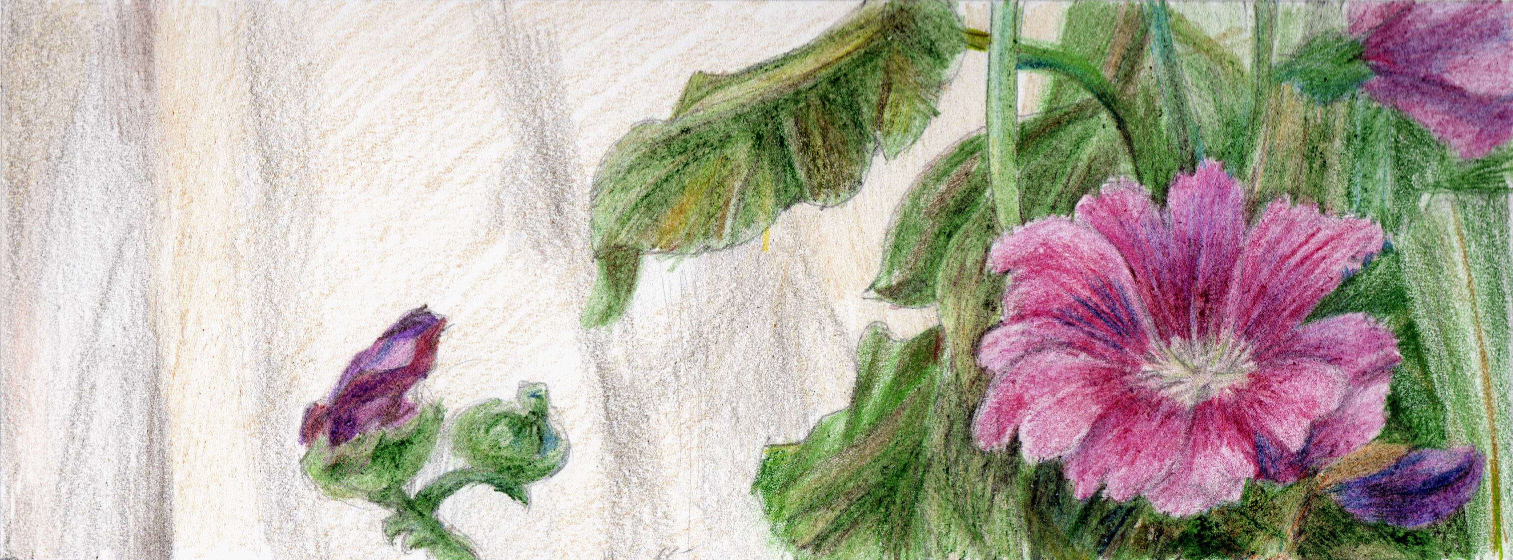 Entry 123535 in drawing by ArtLine