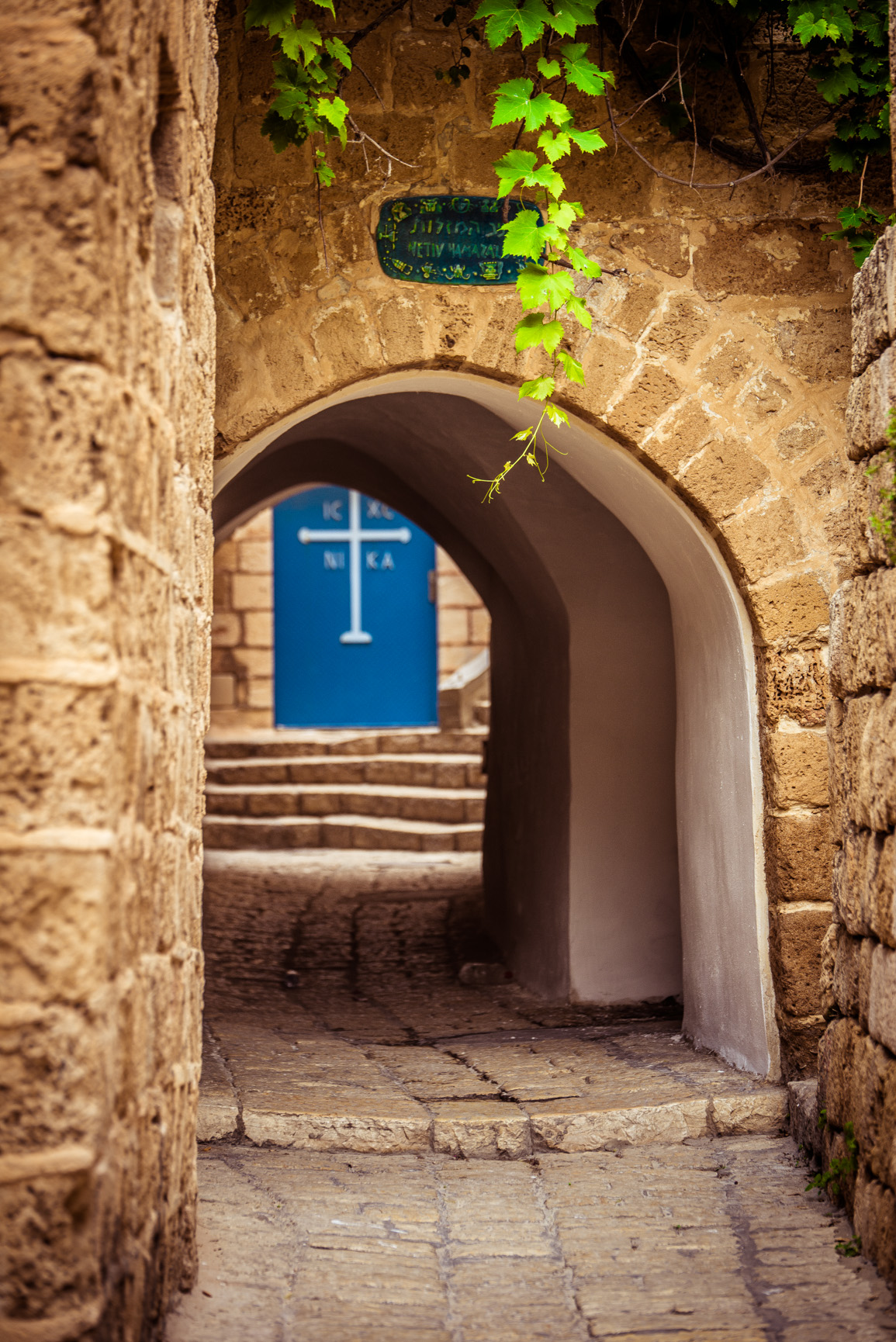 Entry 121513 in Miscellaneous by Ron Stollman Photography