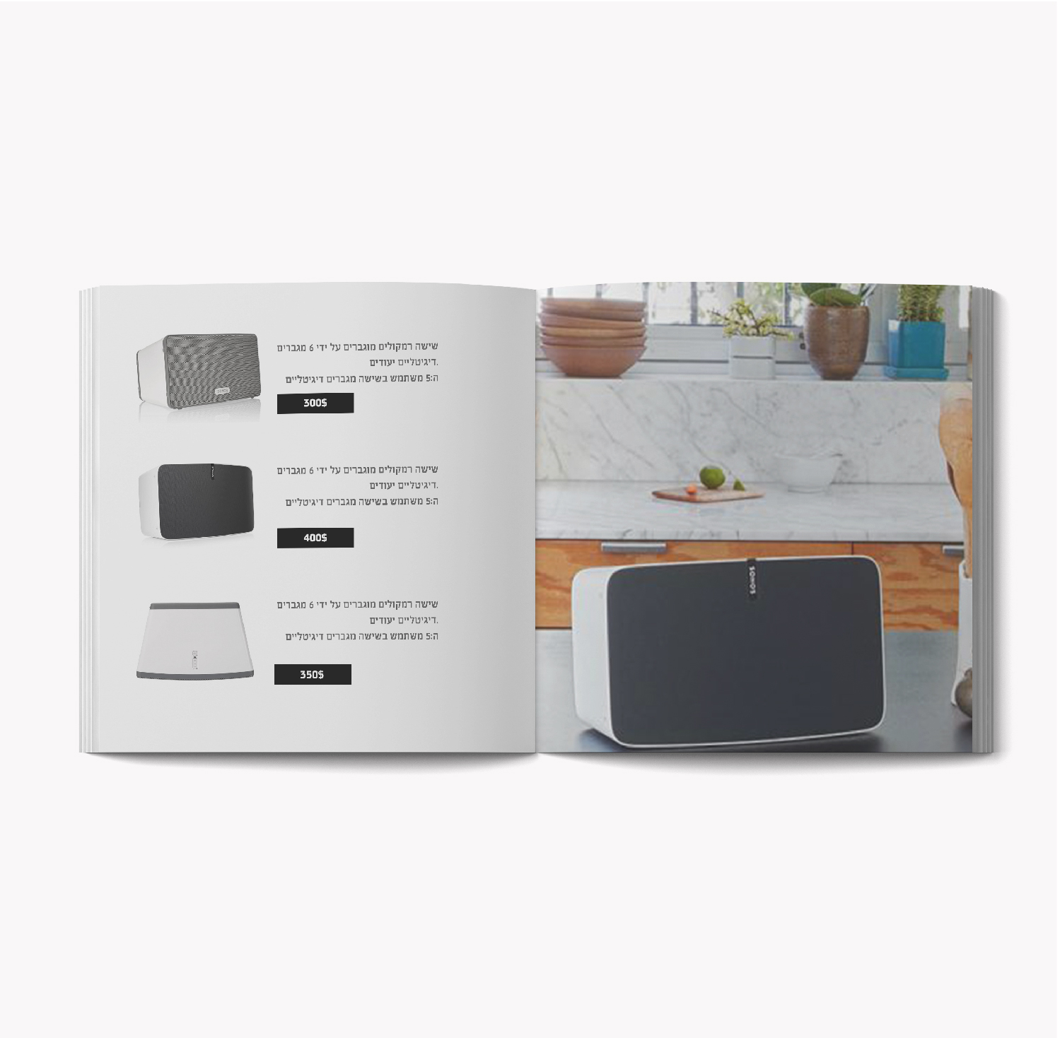 Entry 225808 in Portfolio by WebConcepts