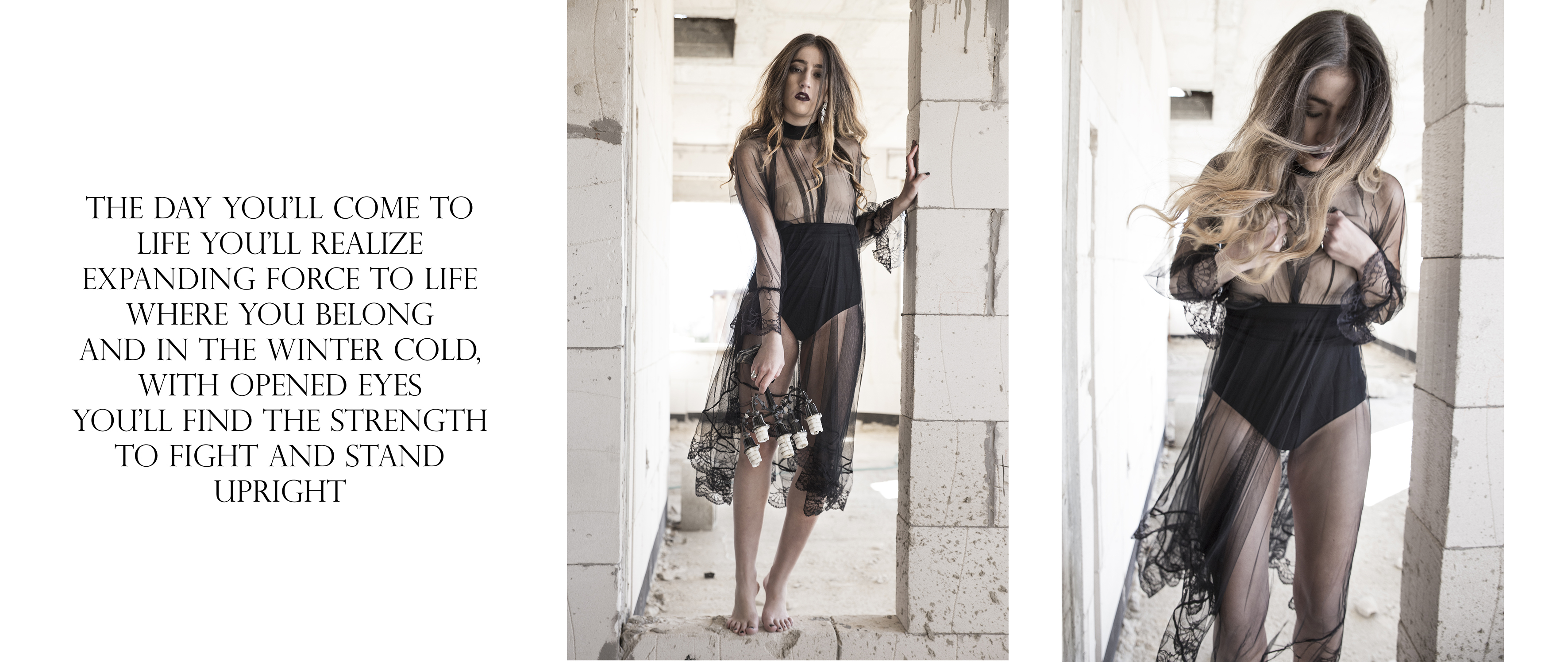 Entry 190551 in Born in winter by Adi dar photography