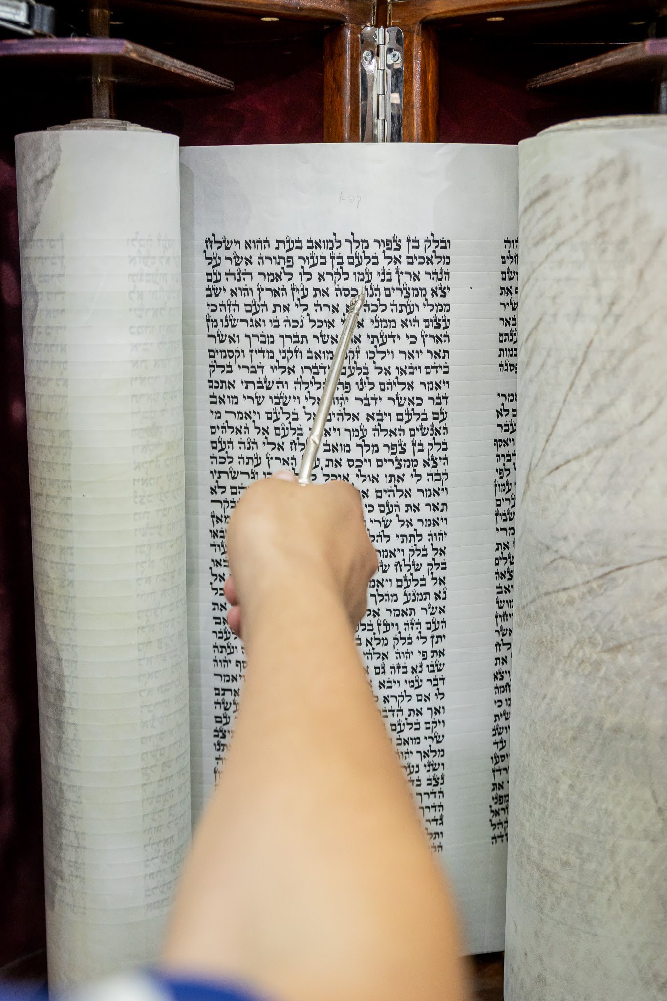 Entry 342290 in עלייה לתורה by דני שטיינברגר פאטל - צלם