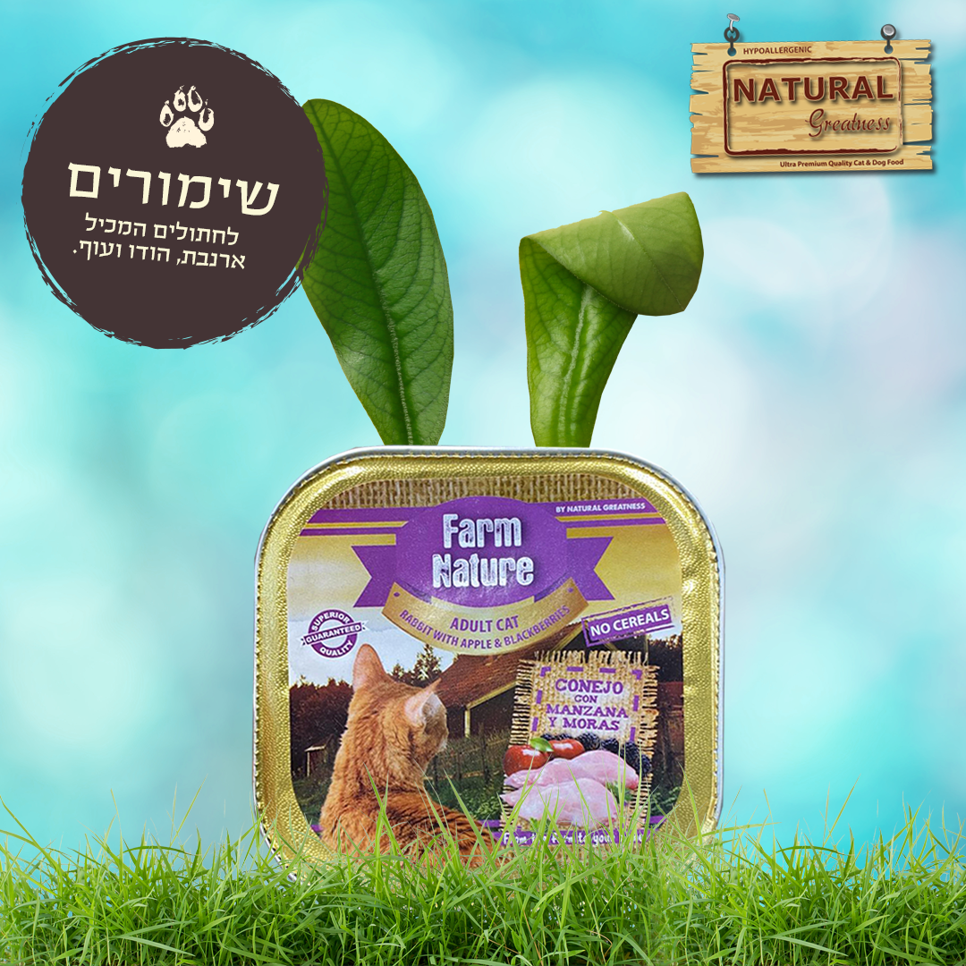 Entry 335471 in פוסטים לסושיאל by לוקו גרופ