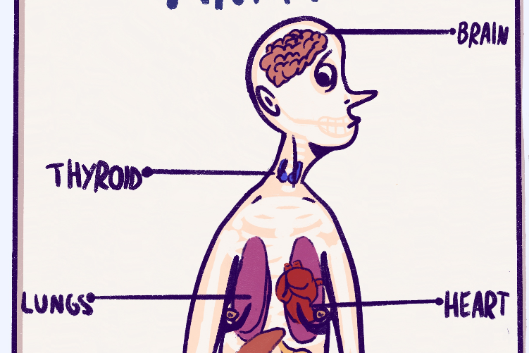 Open Zoomed Related Entry Female Anatomy 2022