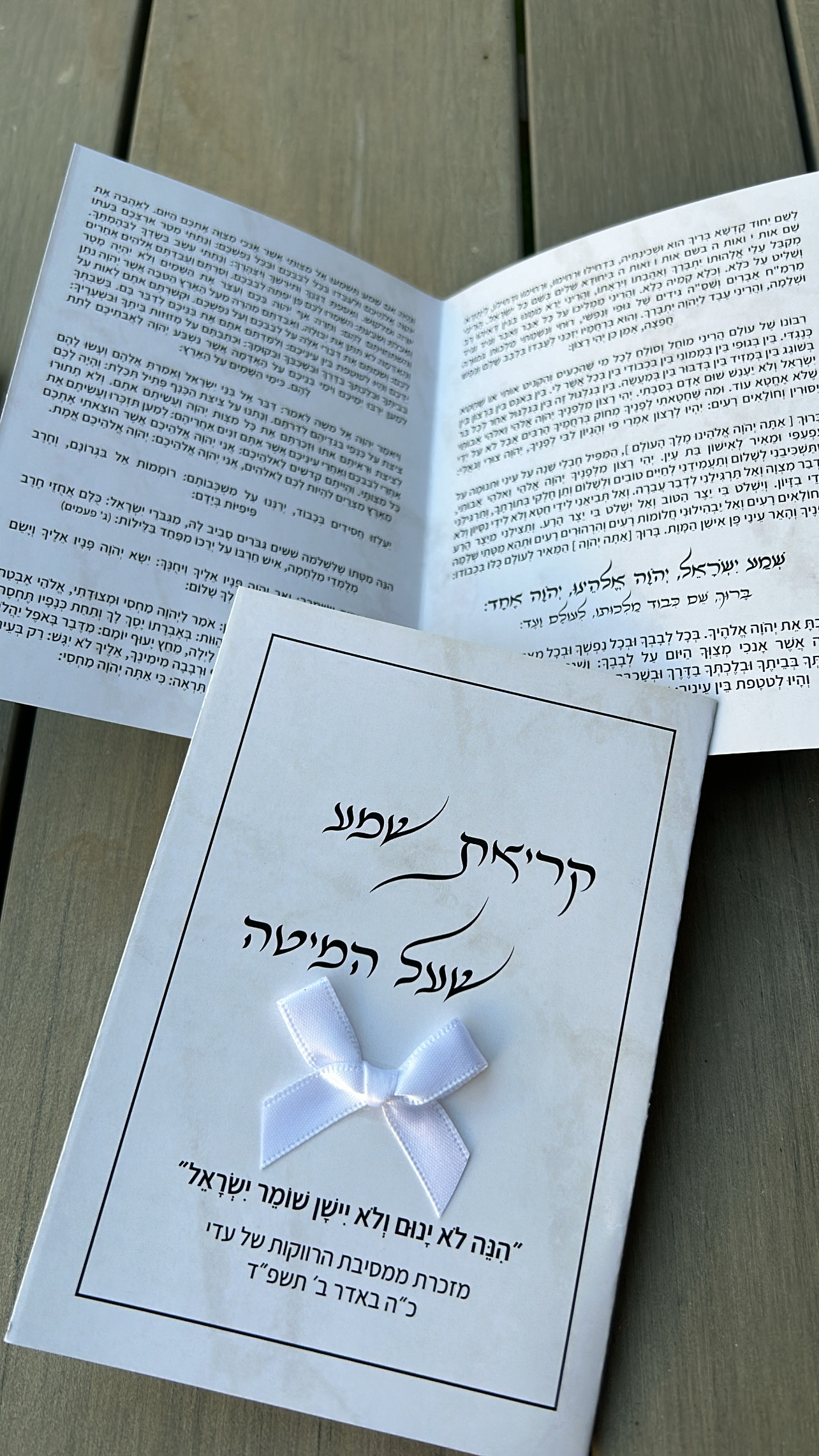 Entry 312946 in Portfolio by עדי ראוי עיצוב גרפי