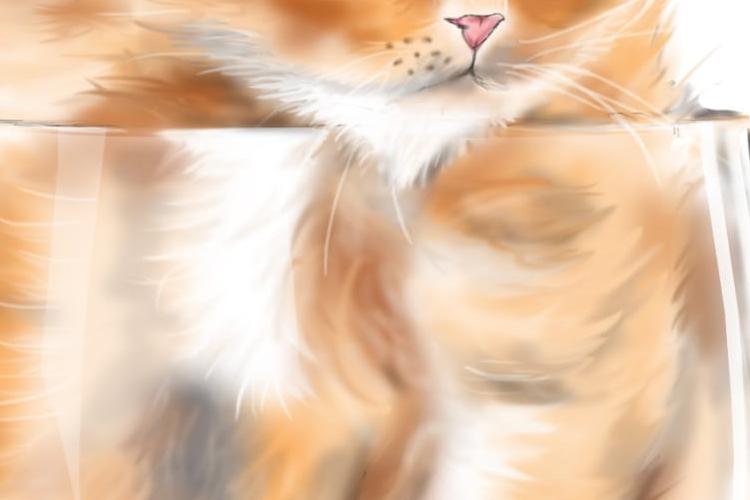 Open Zoomed Related Entry Citty.jpeg