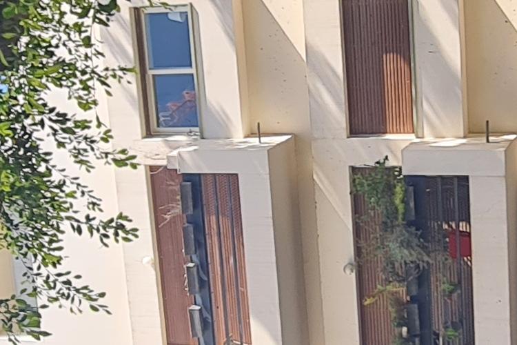 XPlace פרילנסרים | עבודה מהבית לפרילנסר ועבודות פרילנס לפרילנסרים