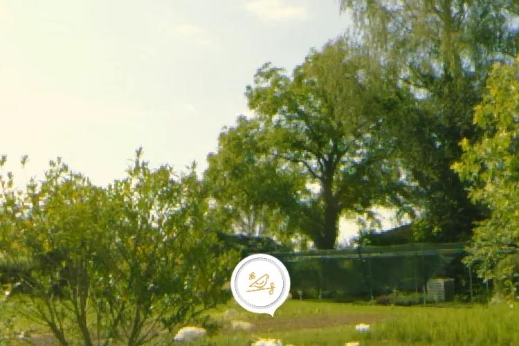 Open Zoomed Related Entry 3.jpg