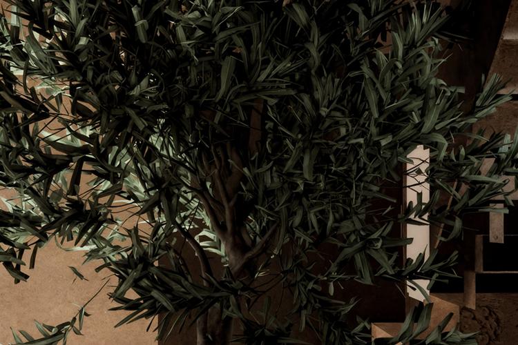 entree 2.png - XPlace פרילנסרים | עבודה מהבית לפרילנסר ועבודות פרילנס לפרילנסרים XPlace פרילנסרים | עבודה מהבית לפרילנסר ועבודות פרילנס לפרילנסרים