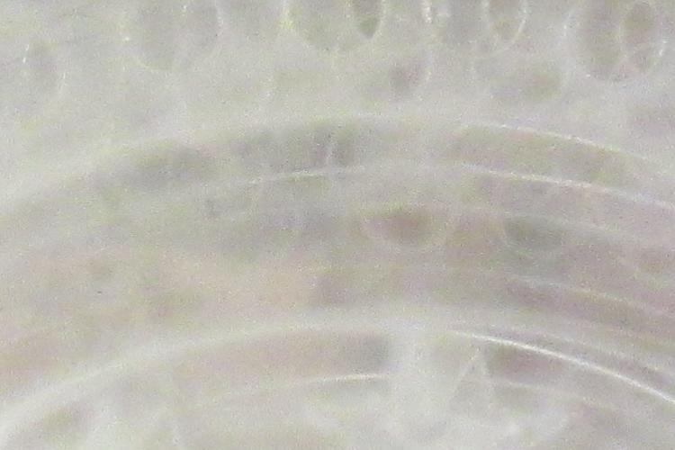 Open Zoomed Related Entry IMG_0046.JPG