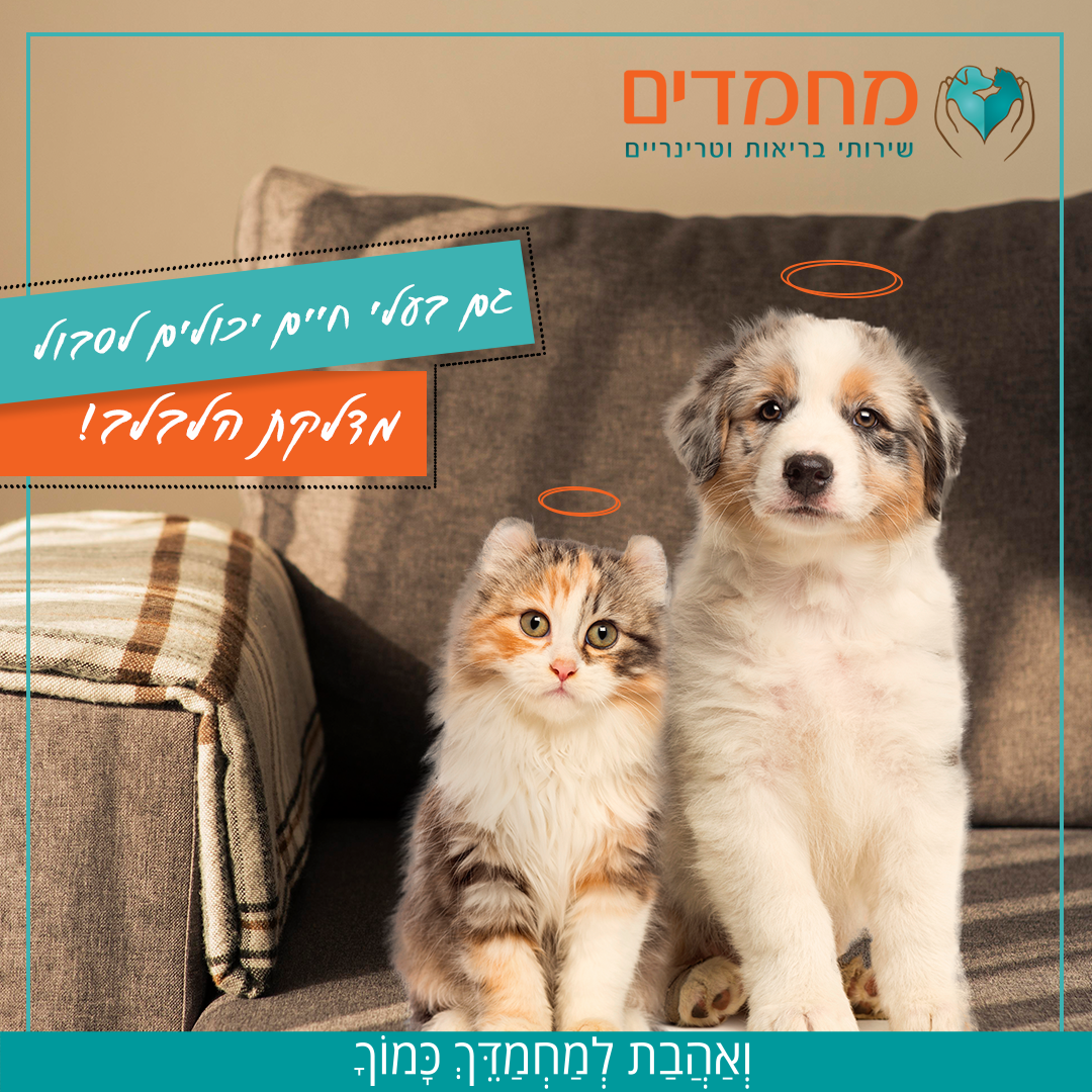 Entry 292148 in רשתות חברתיות by Dave Design