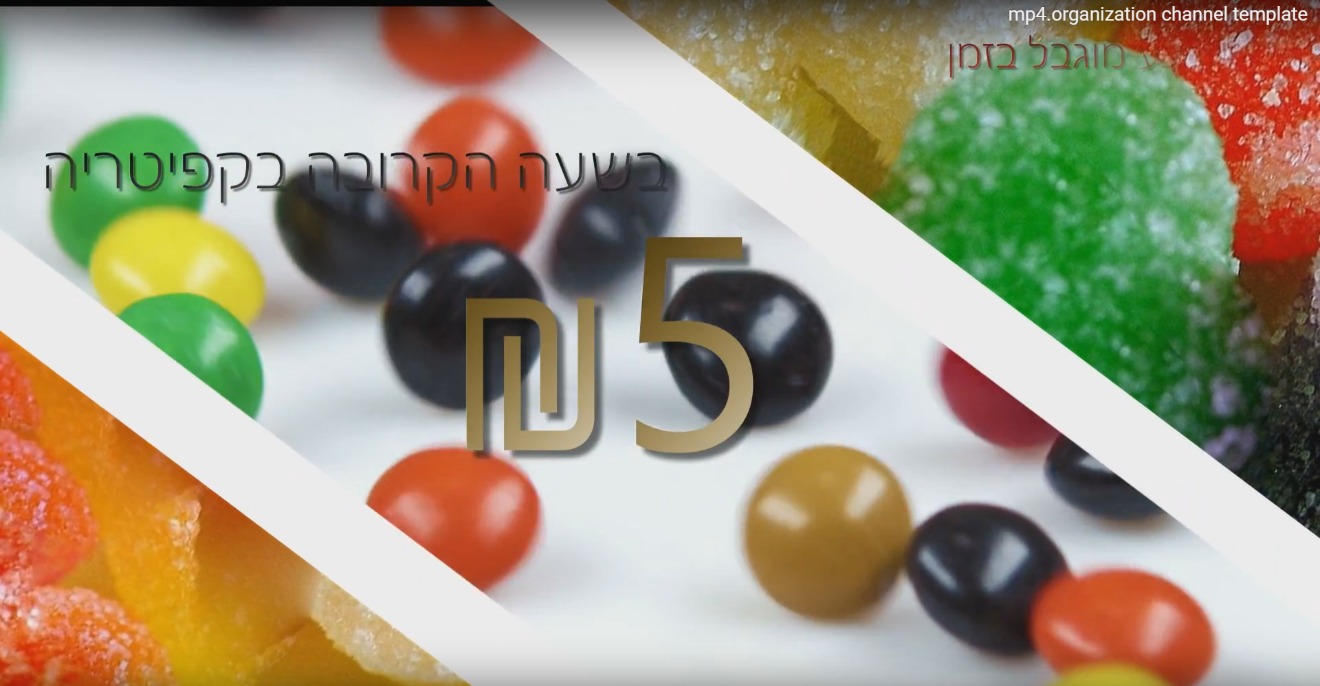 Entry 82897 in מגוון פרויקטים ישראליים by Video Price Signs LTD