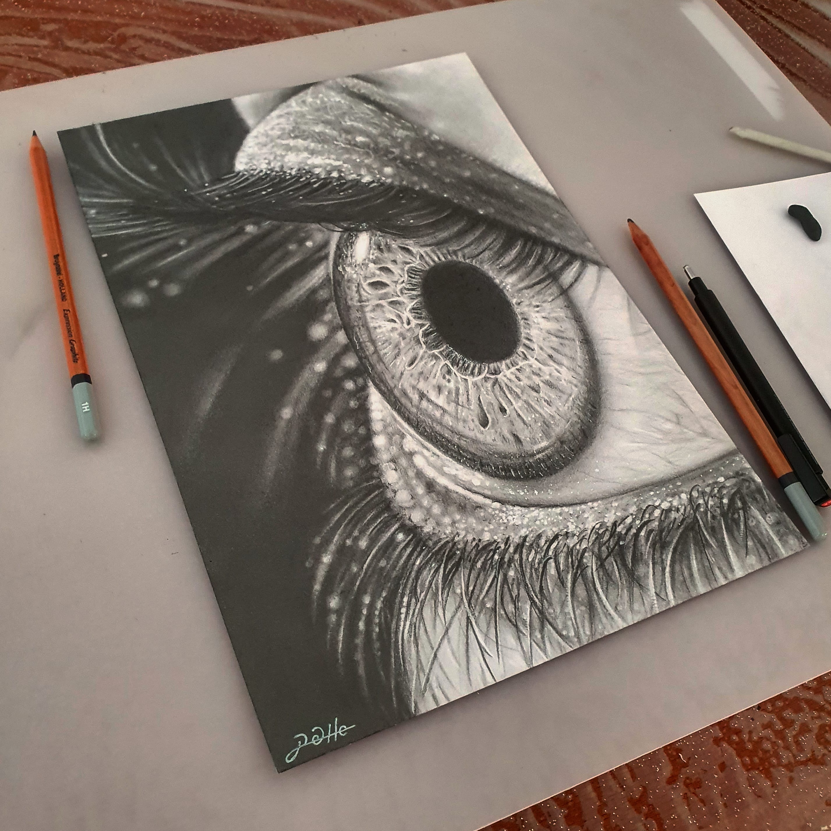 Entry 254208 in Portfolio by אופק לוי